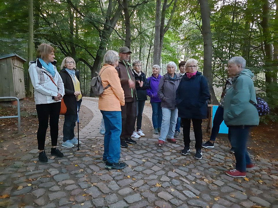 mehrere Personen im Wald auf einem Backsteinweg im Wolfsgehege